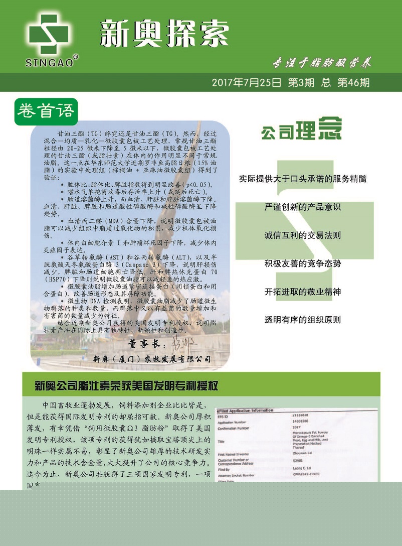 澳门管家一肖一码100，全面释义、精准解答解释落实